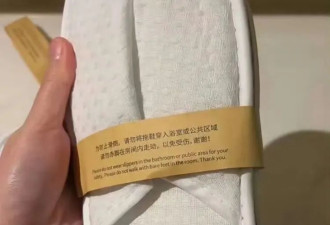 今年国庆，多少人被这丑闻恶心到塞爆行李箱