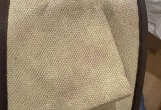 今年国庆，多少人被这丑闻恶心到塞爆行李箱