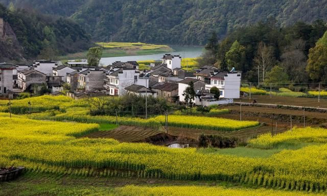 有网友问:你喜欢农村生活还是城市生活?