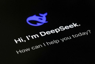 美国政府首度发布报告 揭示DeepSeek数宗罪