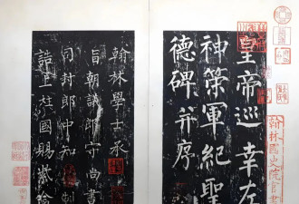 被拧断脖子的巨龙：盛唐何以走向衰弱？