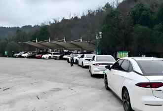 电车车主国庆遭遇“创新” 先进技术也没啥用