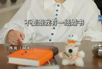 向太曝张艺谋巩俐分手内幕 张艺谋哭着倾诉一晚