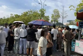 “鸡排哥”已累到没有情绪价值！晒检验报告回应质疑