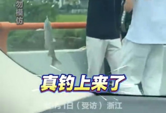 国庆塞车：路中心打羽毛球 还有人3分钟钓上大鱼