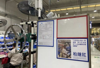 螺丝钉里，长出羽毛：一个工厂车间的艺术之路