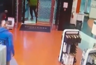 店员勇抓小偷，反而被炒？犯罪率下降市民却越来越没安全感！