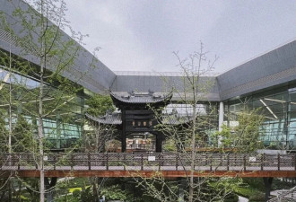 机票彻底绷不住了 "200元飞韩国，直飞冰点价！"