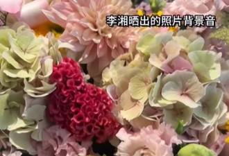 王诗龄评论区沦陷！李湘删博重发不道歉