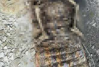 男子丢失手机后寻回 惊见相册照片后吓傻了…