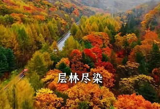 蒙曼国庆游长白山！网友：她越来越像张译了