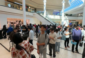 本地出生大学生失业一年找不到工作：现在的就业市场太疯狂