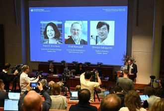 揭秘“终极武器”，2025年首个诺贝尔奖颁发