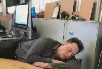 马斯克睡办公室照曝光，睡在桌下，枕头都没有