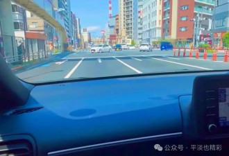 赴日旅行日记（二十七）水元公园（2）