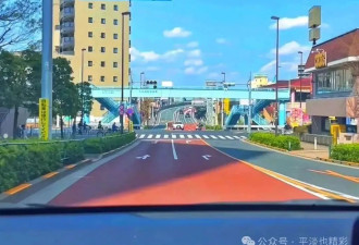 赴日旅行日记（二十七）水元公园（2）