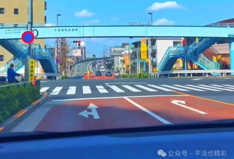 赴日旅行日记（二十七）水元公园（2）