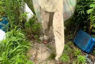 垃圾堆走出的超模!19岁女孩身高181cm,帮男友父捡破烂被挖掘