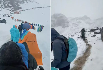 珠峰暴雪中 向导一人一狗带领上百徒步人员撤离