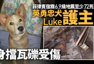 菲律宾6.9级地震72死 忠犬Luke奋不顾身护主受伤