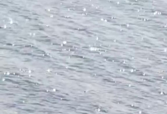 尼斯湖水怪现踪迹？猎人捕抓身影 "戏水画面"曝光