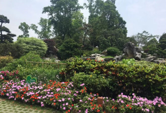 退休后，及时做到这一点很重要