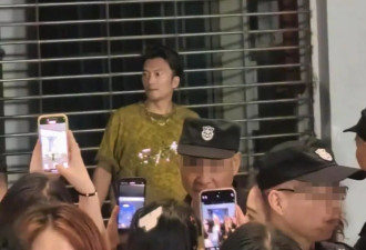 谢霆锋演唱会惊现长相酷似的模仿者，歌迷狂追拍照