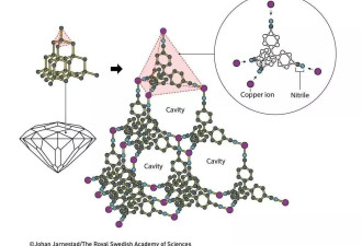 解读2025年诺贝尔化学奖：在分子世界里“造房子”