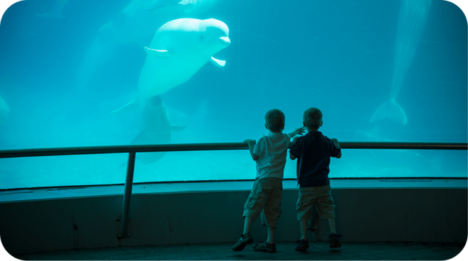 Marineland® Of Canada - Niagara Falls, Ontario, Canada