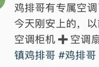 “鸡排哥”成立工作室，露天摊位安装专属空调