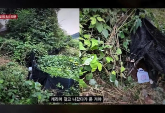 韩国25岁女主播确认遇害，遗体有多处暴力创伤