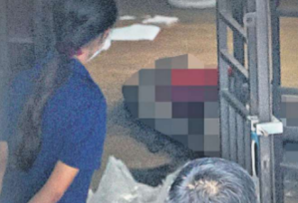 中国美女学霸剑桥毕业 父亡伴尸1个月疑活活饿死