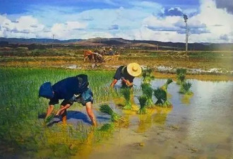 飞虎队的珍贵彩照：1945年的成都，漂亮得像油画
