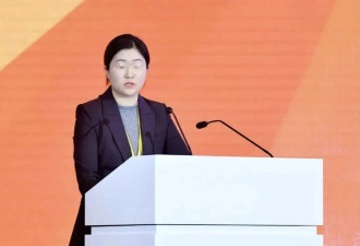 新能源富二代集体渡劫，女儿们来收拾烂摊子？