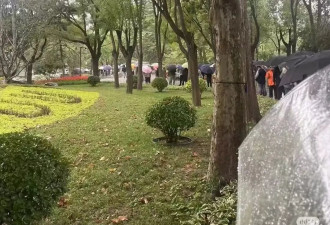 In-N-Out快闪到北京！雨中排队 人民热情让人震惊