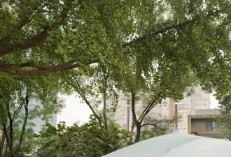 In-N-Out快闪到北京！雨中排队 人民热情让人震惊