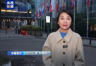 3个月两次信任危机，冯德莱恩遭欧盟内部猛烈批评