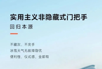 隐藏式门把手消失了，但车企的炫技焦虑还在