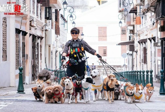 《捕风追影》《不眠日》《绝命法官》连续取景，悬疑题材开启“澳门宇宙”？