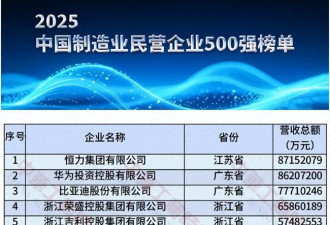 中国制造业第一大民企 “赢”了华为比亚迪