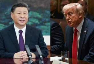 中国战狼炮轰川普“糊涂”