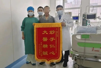全球首例！中国团队成功将猪肝移植给活人
