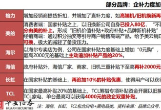 690亿，“抽签”式国补背后的博弈与隐忧