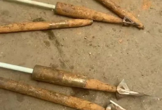 猪场现多支箭头，怀疑无人机射杀猪后遗留