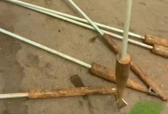 猪场现多支箭头，怀疑无人机射杀猪后遗留