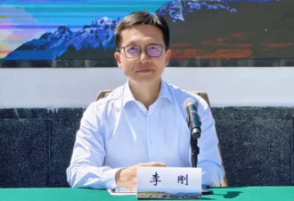 涉嫌严重违纪违法，丽江市长李刚主动投案