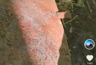 男子在深山密林发现东北抗联用过的缝纫机残件