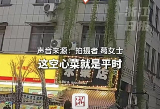 住户5楼种的空心菜垂到1楼 邻居开窗一掐一盘菜
