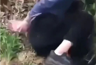 29岁名媛被判死刑！她的两张脸，比画皮还惊心