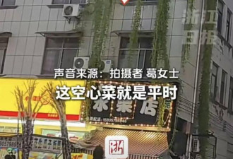 浙江居民楼现空心菜“瀑布”，网：根本吃不完
